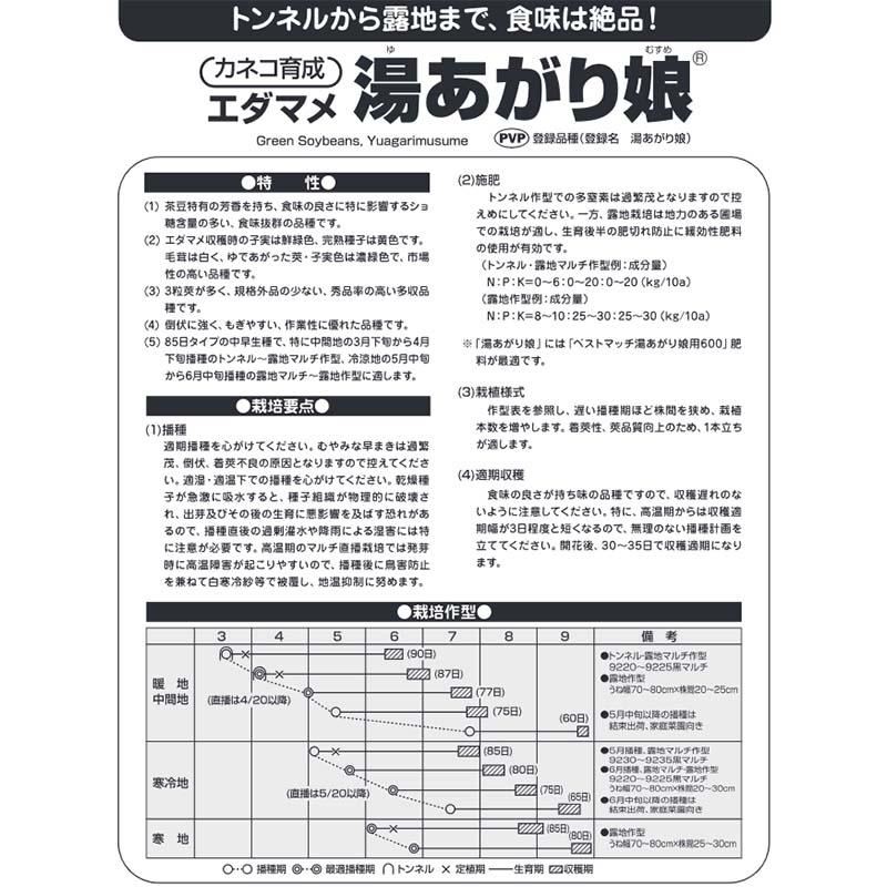 1000粒 (50粒×20袋) エダマメ 湯あがり娘 カネコ種苗 枝豆 中早生 白毛 栽培用 ゆあがりむすめ 米S 代引不可 (登録品種名:湯あがり娘) |  | 04