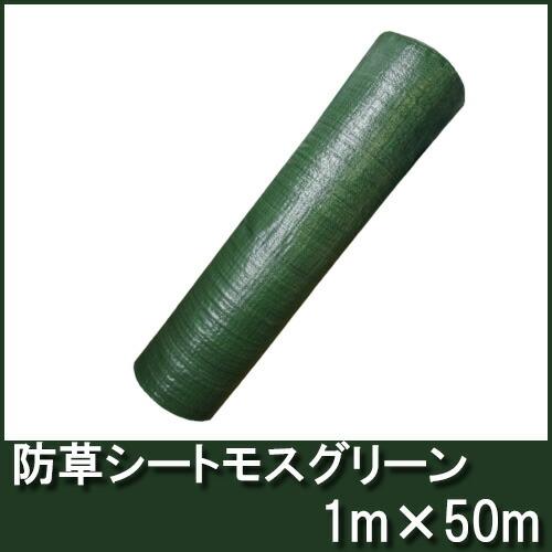 4-6年耐久 高品質 草よけシート 防草シート グリーン 幅1m×50m 厚手・草よけシート シN 代引不可 | SHINSEI | 01