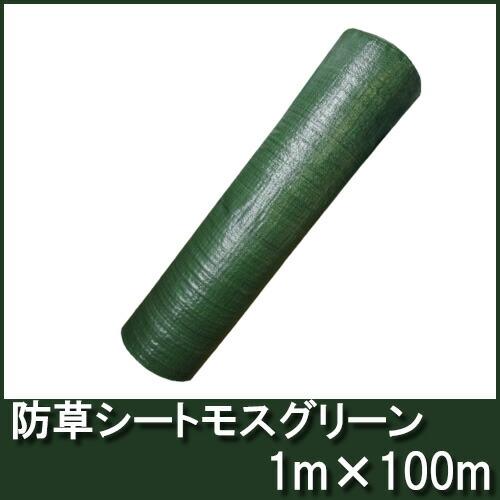 4-6年耐久 高品質 草よけシート 防草シート グリーン 幅1m×100m 厚手・草よけシート シN 代引不可 | SHINSEI | 01