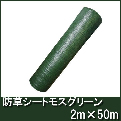 4-6年耐久 高品質 草よけシート 防草シート グリーン 幅2m×50m 厚手・草よけシート シN 代引不可 | SHINSEI | 01