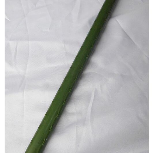 菜園 アーチ支柱 輸入品 直径 11mm×1200mm 30本組 シN 代引不可 |  | 01