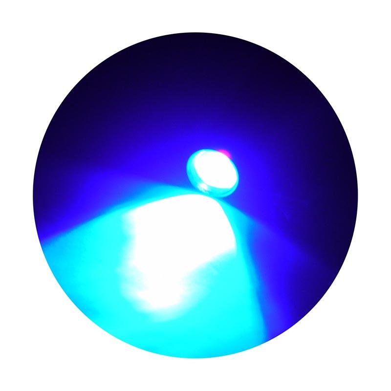 UV365 ペンライト 蓄光ルアー ワーム 硬貨 SK‐P365 4514910504528 渋Y H |  | 01