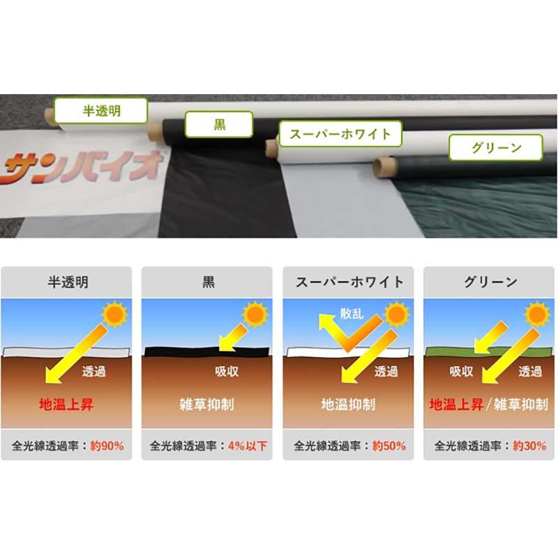 2本 生分解マルチ 半透明 サンバイオSN 幅 95cm×200m 無孔 マルチ フィルム シート 畑 農業用品 農業資材 省力化 サンプラック工業 カ施 代引不可 |  | 01
