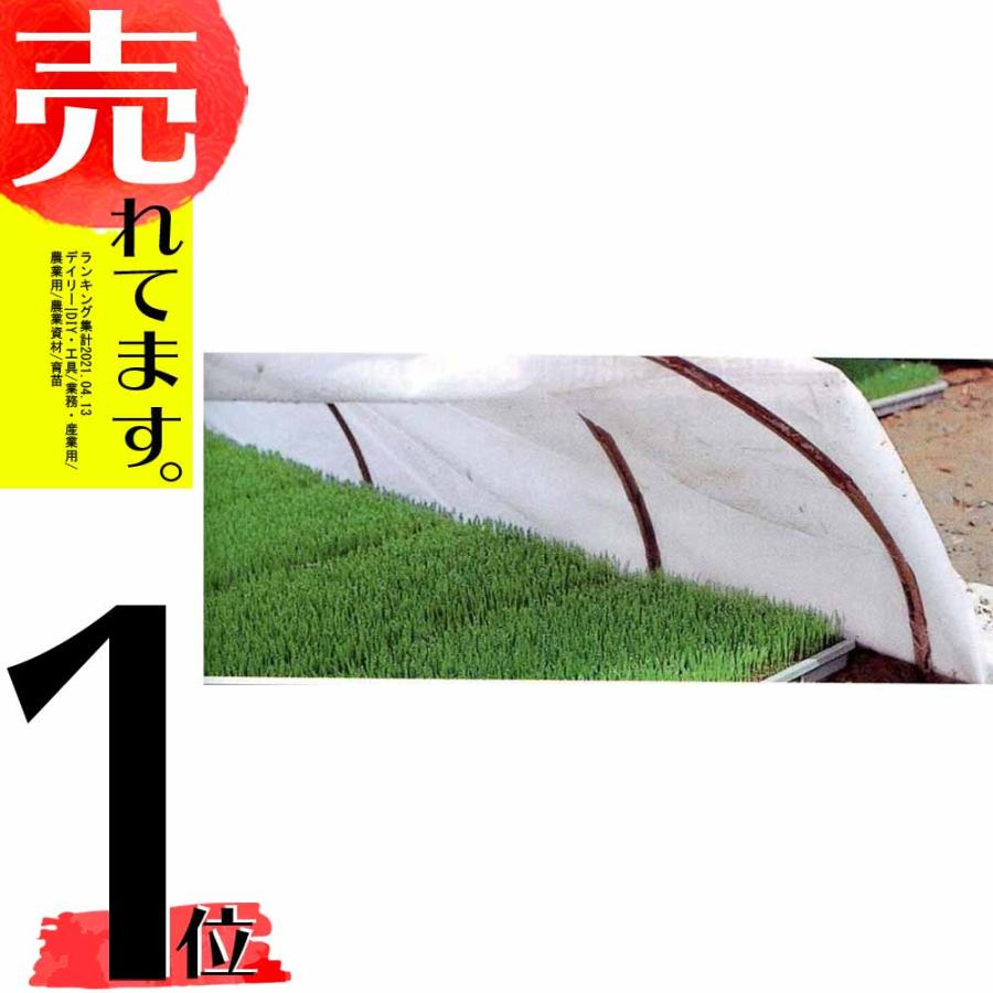 健苗シート 幅210cm×長さ25m 低発泡PEシート 水稲育苗用保温シート 積水フィルム 日A D | 