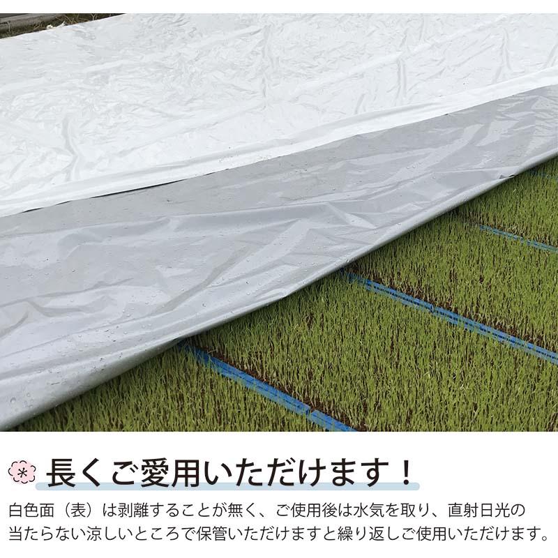 ハイホワイトシルバー 2.3×50m 育苗用シート 水稲用 苗焼け防止 高反射 保温 地温抑制 夜間 保水性 ハウス育苗 プール育苗 被覆資材 岩谷マテリアル 230 タS DZ |  | 04