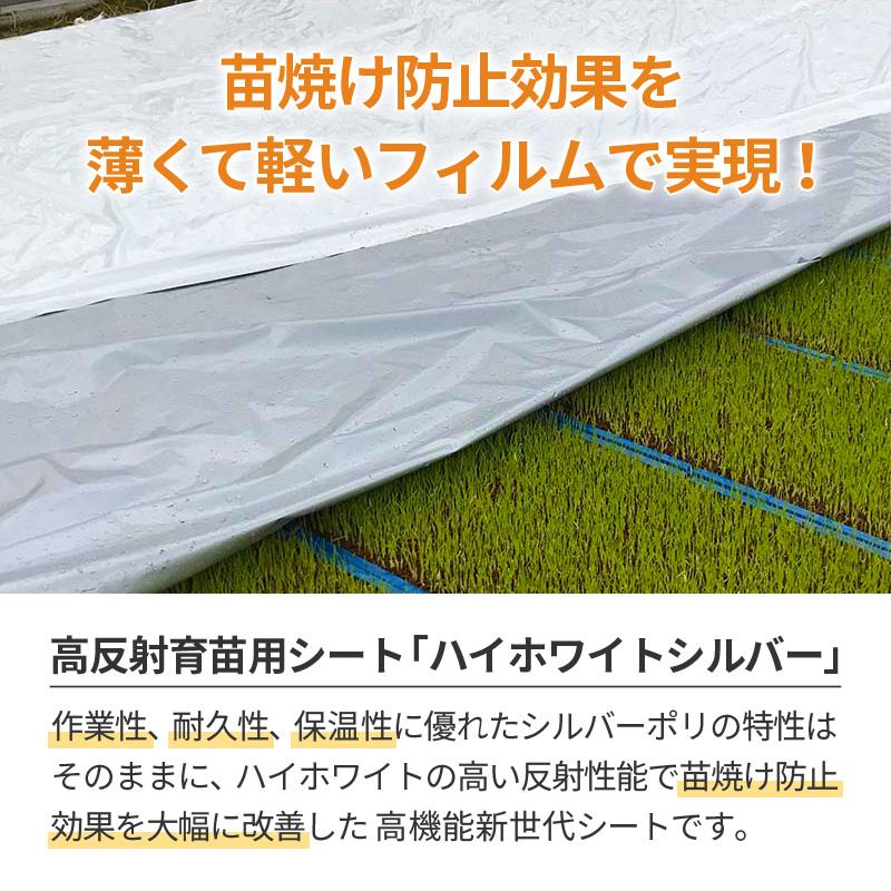 ハイホワイトシルバー 2.7×50m 育苗用シート 水稲用 苗焼け防止 高反射 保温 地温抑制 夜間 保水性 ハウス育苗 プール育苗 被覆資材 270 岩谷マテリアル タS DZ |  | 01