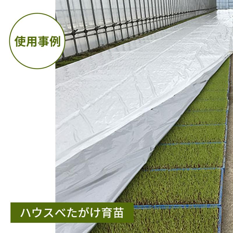 ハイホワイトシルバー 2.7×50m 育苗用シート 水稲用 苗焼け防止 高反射 保温 地温抑制 夜間 保水性 ハウス育苗 プール育苗 被覆資材 270 岩谷マテリアル タS DZ |  | 08