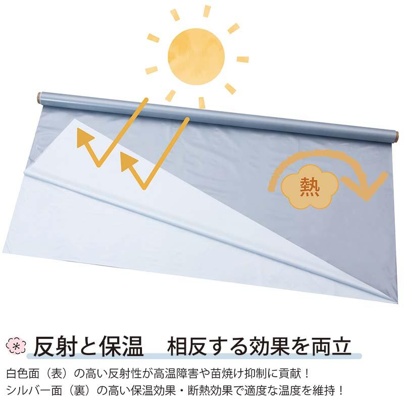 ハイホワイトシルバー 2.3×25m 育苗用シート 水稲用 苗焼け防止 高反射 保温 地温抑制 夜間 保水性 ハウス育苗 プール育苗 被覆資材 岩谷マテリアル 230 タS DZ |  | 01