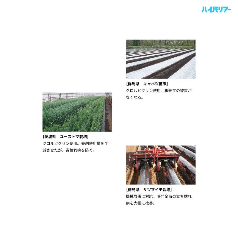 ハイバリアー 透明 厚さ0.02mm×幅180cm×長さ200m クリアマルチ 農業用シート 農業用マルチ 岩谷マテリアル タS DZ |  | 15