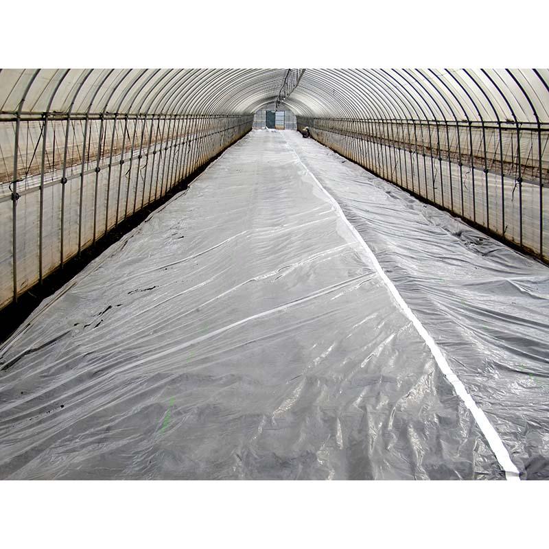 ハイバリアー 透明 厚さ0.02mm×幅420cm×長さ100m クリアマルチ 農業用シート 農業用マルチ 岩谷マテリアル タS DZ |  | 01