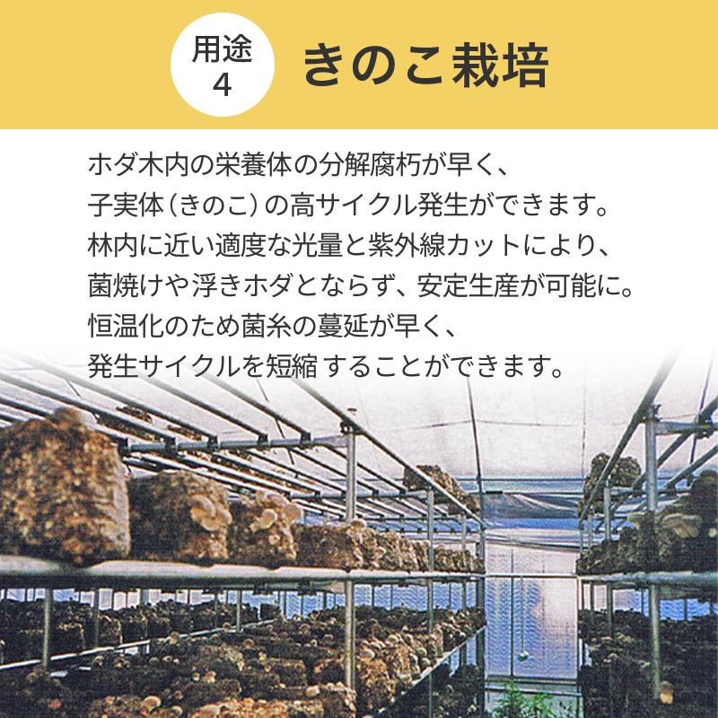 特注 1.35×20m 内張 TS 太陽 光反射 シート ピアレスフィルム 水稲 葉菜 果菜 育苗 べた掛け 潅水作業 省力化 断熱 遮光 保温 防湿性け カ施 代引不可 |  | 10