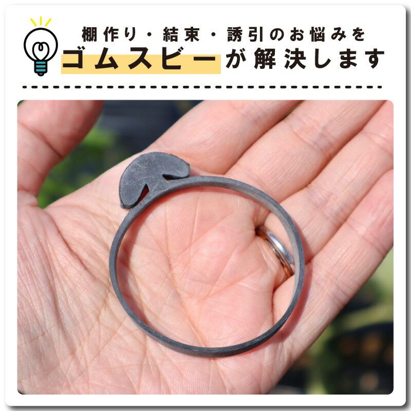 ゴムスビー 500g ( 約250本入 ) 園芸用万能輪ゴム 野菜 花 誘引 結束 棚作り 耐候性 耐熱老化性 耐水性 サカタのタネ DZ |  | 03