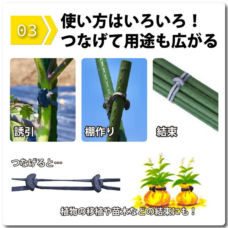 ゴムスビー 500g ( 約250本入 ) 園芸用万能輪ゴム 野菜 花 誘引 結束 棚作り 耐候性 耐熱老化性 耐水性 サカタのタネ DZ |  | 07