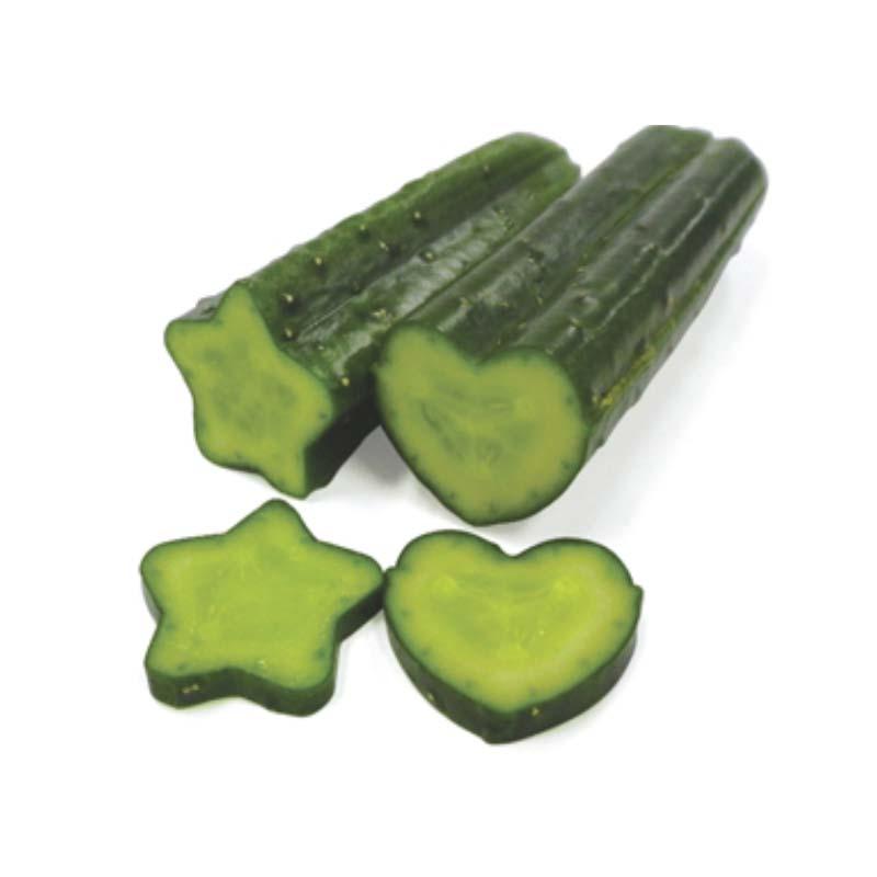 デコきゅう キュウリの型どりケース きゅうりの形 家庭菜園 星型 ハート型 カネコ種苗 DZ |  | 01