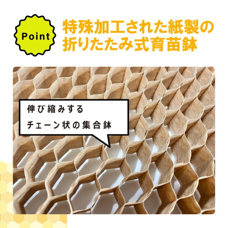 BPチェーンポット BP253 150冊 (個) 364鉢 播種 種まき 育苗 ネギ 玉ネギ bp253 チェーンポット 紙筒 ひっぱりくん ニッテン 日本甜菜製糖 タS D |  | 03
