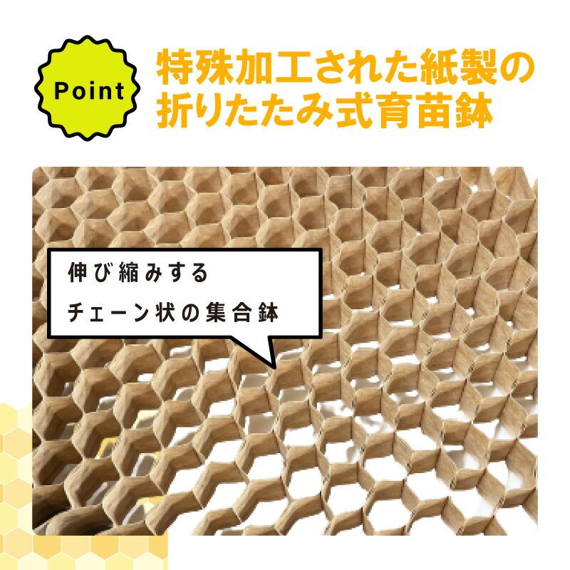 BPチェーンポット BP303 150冊 (個) 264鉢 播種 種まき 育苗 ネギ ニラ 軟弱野菜 bp303 チェーンポット 紙筒 ひっぱりくん ニッテン 日本甜菜製糖 タS D |  | 03