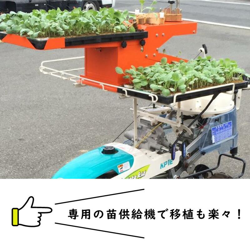 BPチェーンポット BP353 150冊 (個) 190鉢 播種 種まき 育苗 キャベツ ブロッコリー bp353 チェーンポット 紙筒 ひっぱりくん ニッテン 日本甜菜製糖 タS D |  | 02