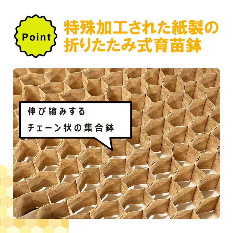 BPチェーンポット BP353 150冊 (個) 190鉢 播種 種まき 育苗 キャベツ ブロッコリー bp353 チェーンポット 紙筒 ひっぱりくん ニッテン 日本甜菜製糖 タS D |  | 03