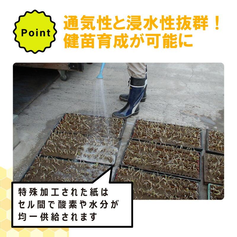 BPチェーンポット BP353 150冊 (個) 190鉢 播種 種まき 育苗 キャベツ ブロッコリー bp353 チェーンポット 紙筒 ひっぱりくん ニッテン 日本甜菜製糖 タS D |  | 05