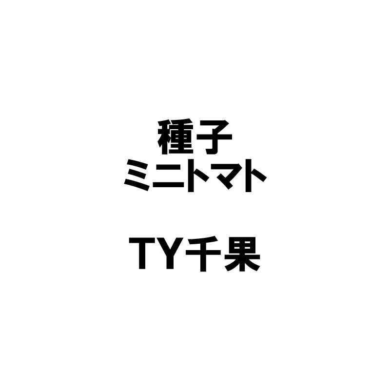 コート種子 1000粒 TY千果 ティーワイチカ ミニトマト 栽培用 タキイ種苗 米S 代引不可 (登録品種名：TTM106) | 