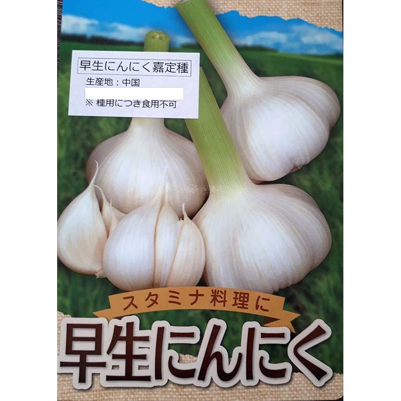 10kg 栽培用 早生ニンニク 嘉定種 中国産 リン片 にんにく 球根 種用 米s 代引不可 農業用品販売のプラスワイズ 通販 Yahoo ショッピング