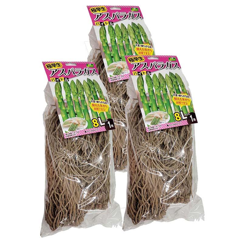 3株 バイトル アスパラガス苗 8Lサイズ 栽培用 カネコ種苗 DZ (登録品種名:バイトル) | 