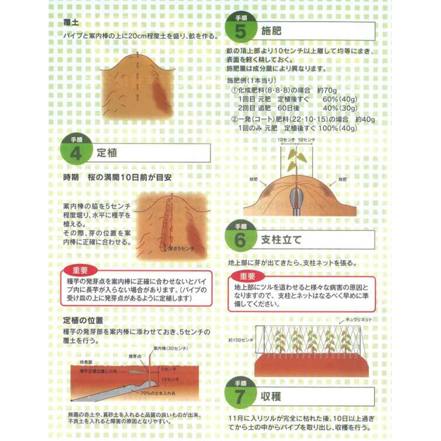 120個 ツメのみ クレバーパイプ用 長芋用 長芋栽培器 長芋 長いも ながいも ナガイモ 栽培 畑 家庭菜園 政田自然農園 タS DZ |  | 02