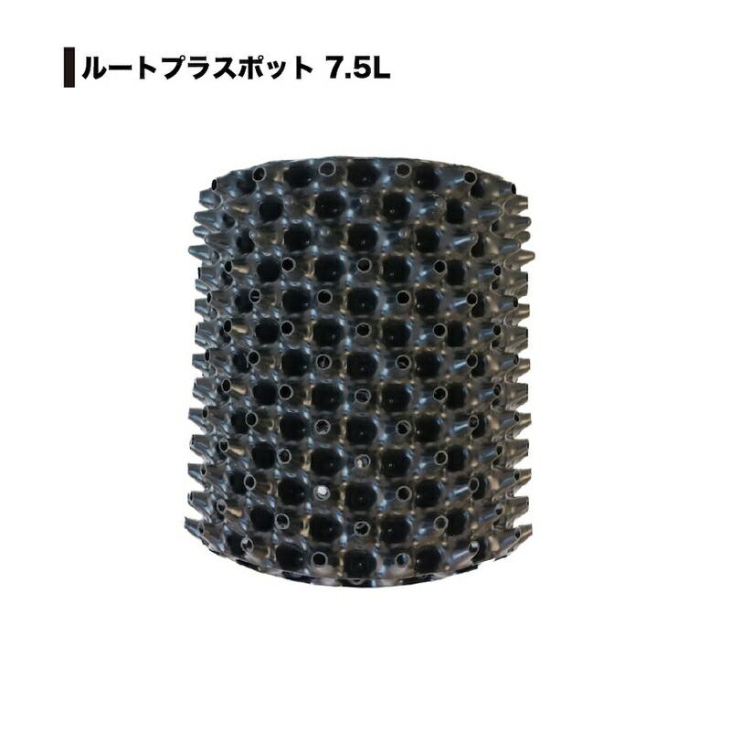 7個 果樹向けポット ルートプラスポット 7.5L 高さ250mm×内寸径205mm GS-AP200M RootPlus 南栄工業 根巻き防止 空気剪定 高耐久 D | 