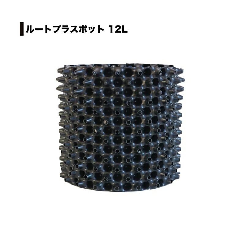 5個 果樹向けポット ルートプラスポット 12L 高さ250mm×内寸径255mm GS-AP250M RootPlus 南栄工業 根巻き防止 空気剪定 高耐久 D | 