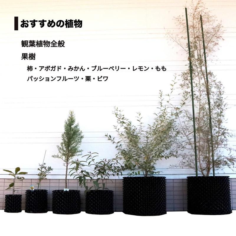 5個 果樹向けポット ルートプラスポット 110L 高さ460mm×内寸径540mm GS-AP550L RootPlus 南栄工業 根巻き防止 空気剪定 高耐久 D |  | 02