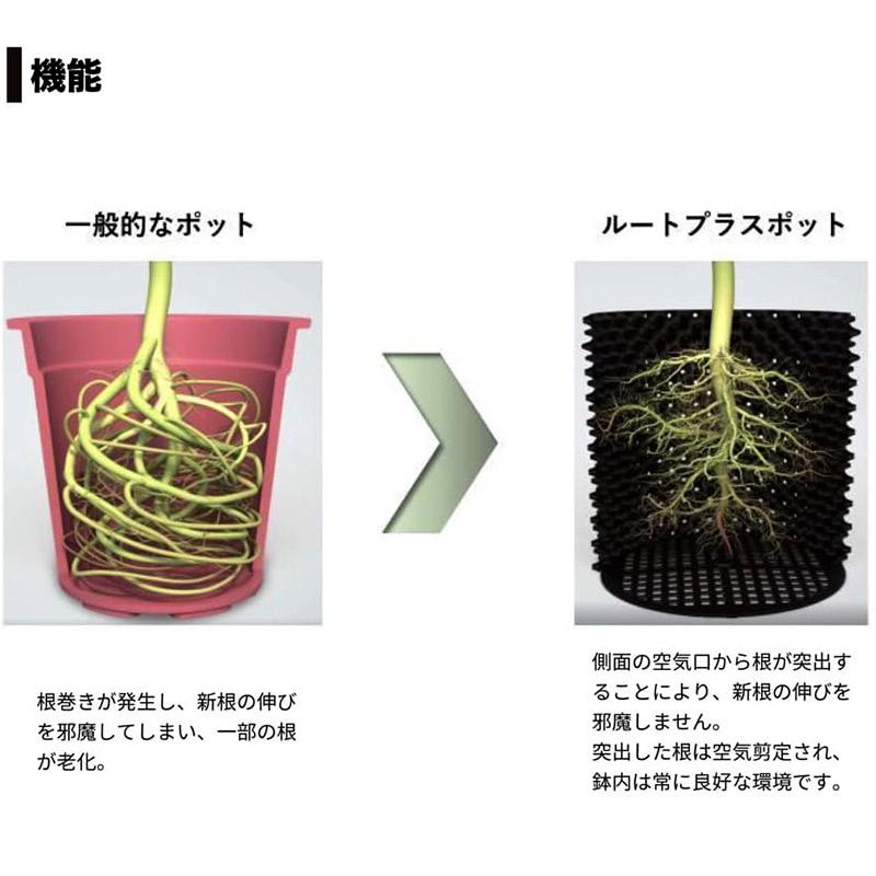 5個 果樹向けポット ルートプラスポット 110L 高さ460mm×内寸径540mm GS-AP550L RootPlus 南栄工業 根巻き防止 空気剪定 高耐久 D |  | 04