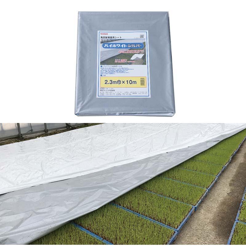 ハイホワイトシルバー 2.3×10m たたみ品 育苗用シート 水稲用 苗焼け防止 高反射 保温 地温抑制 夜間 保水性 プール育苗 被覆資材 岩谷マテリアル タS DZ | 