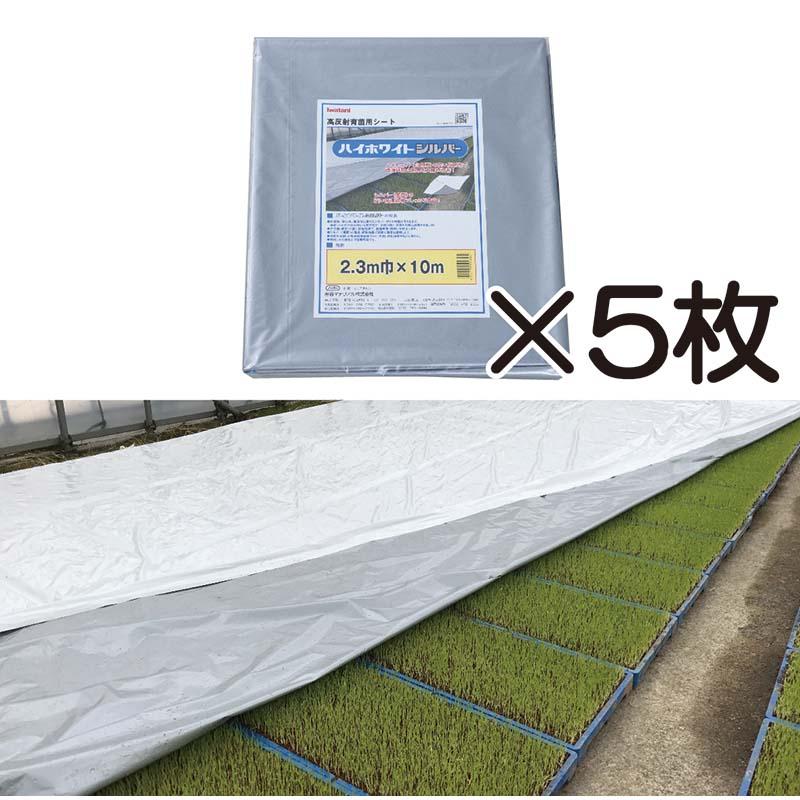 5枚 ハイホワイトシルバー 2.3×10m たたみ品 育苗用シート 水稲用 苗焼け防止 高反射 保温 地温抑制 夜間 保水性 岩谷マテリアル タS 個人宅配送不可 代引不可 | 