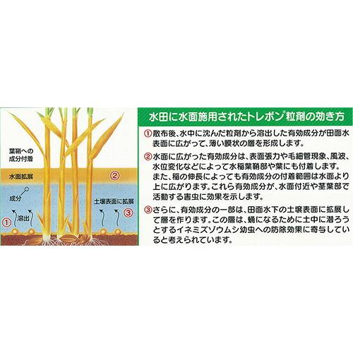 水稲 殺虫剤 トレボン粒剤 2kg 三井化学 農薬 水稲 イN 代引不可 |  | 01