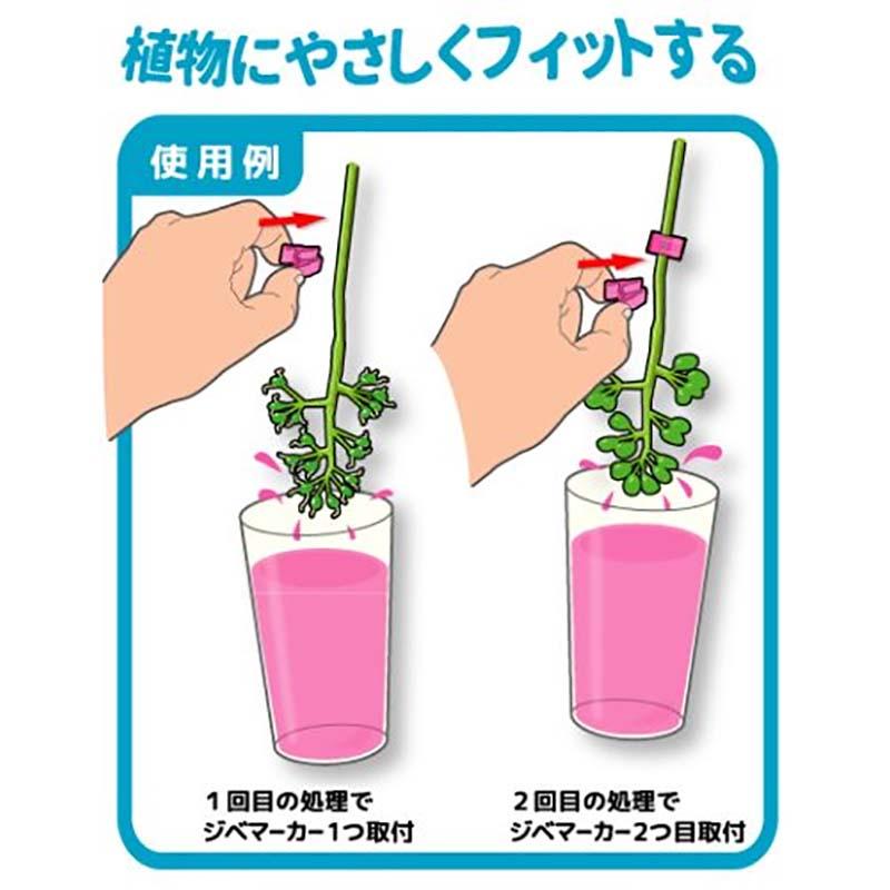 500個 ジベマーカー ビビッと！ 日本製 ビビッドカラー ジベレリン処理用 目印 マーカー クリップ 葡萄 ぶどう ブドウ 果樹用品 果樹資材 農業 シーム タS DZ |  | 01