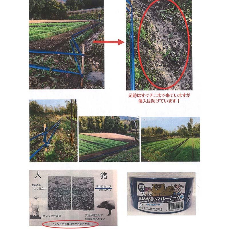 30巻 来るなら濃いテープ ブルー 50mm×200m 耐候性 識別テープ 防獣 防鳥 水産業 土木 測量建築標識 レジャー 中G H |  | 01