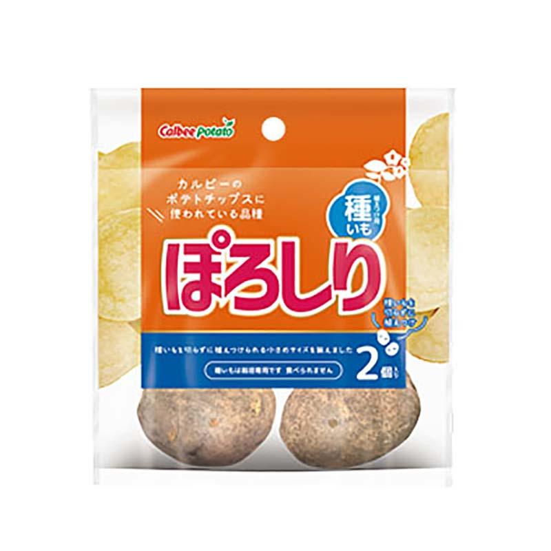 2球 栽培用種芋 ぽろしり カルビー ジャガイモ じゃがいも ポテト ポロシリ カ園 DZ | 