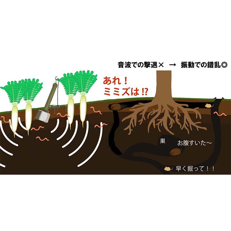 モグラ追い出し DG010 乾電池付 300坪対応 大樹トレーディング モグラ追出し もぐら 土竜 被害 撃退 獣害防止 新E DZ |  | 02