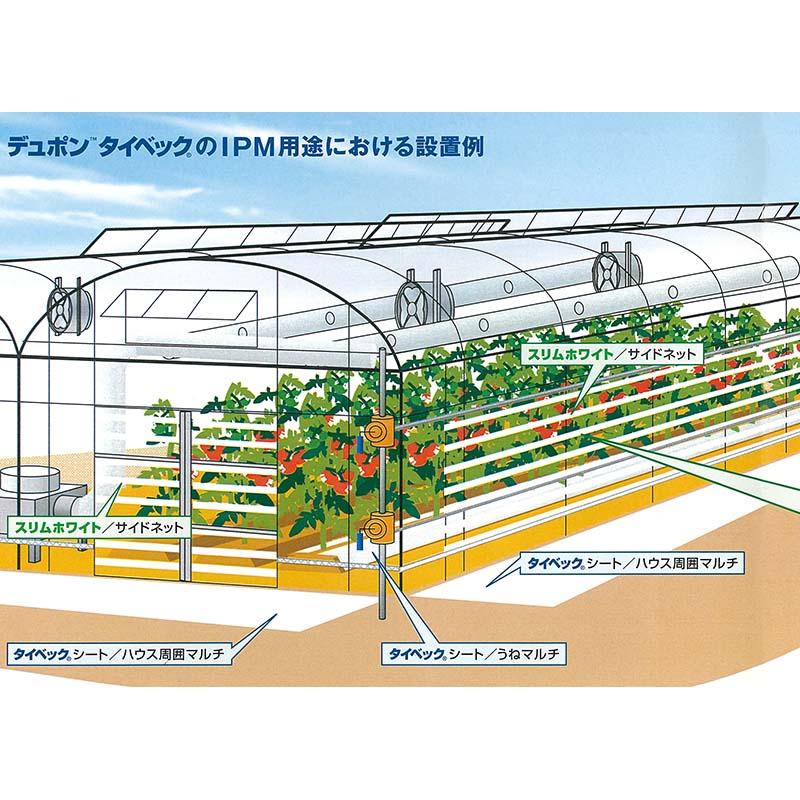 10本 タイベック マルチ 700AG 0.3m×100m 白 野菜 フルーツ 花卉 遮熱性 通気性 透湿性 アザミウマ対策 農業資材 カ施 個人宅配送不可 代引不可 受注生産品 |  | 08