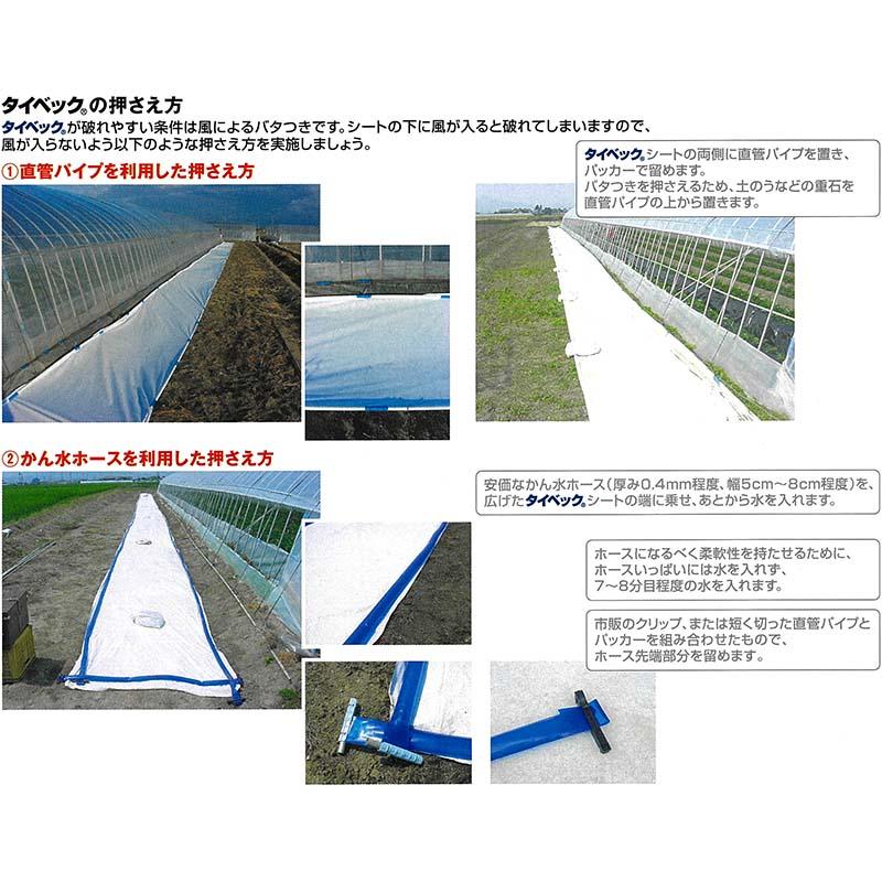 5本 タイベック マルチ 700AG 0.3m×100m 白 野菜 フルーツ 花卉 遮熱性 通気性 透湿性 アザミウマ対策 農業資材 カ施 個人宅配送不可 代引不可 受注生産品 |  | 06