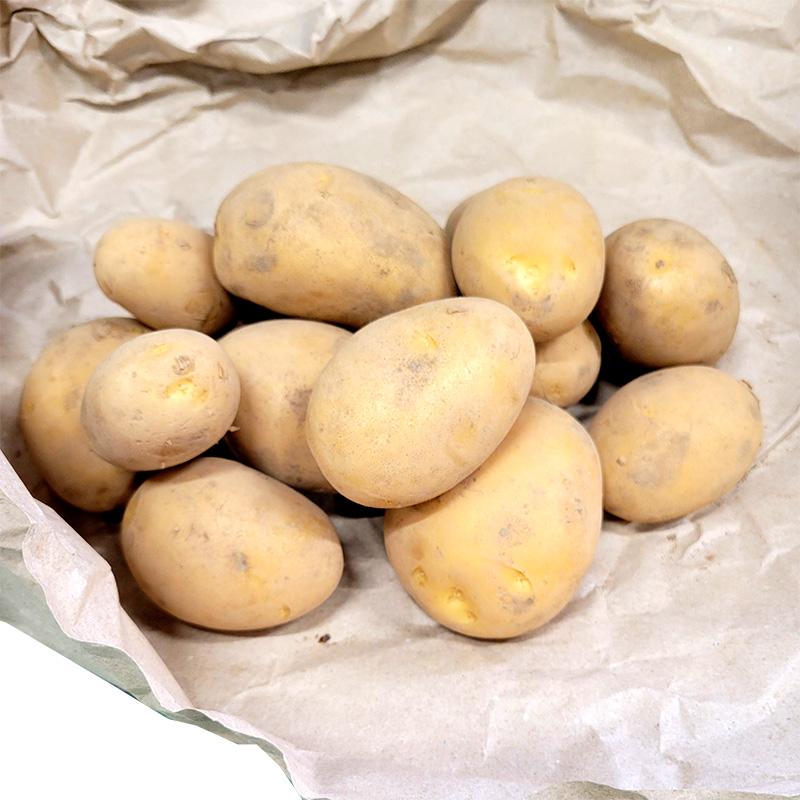 1kg 種芋 さんじゅう丸 混玉 ジャガイモ PVP じゃがいも 栽培用 吉S DZ (海外持出禁止 登録品種名:さんじゅう丸 農林水産省品種登録:第21864号) | 