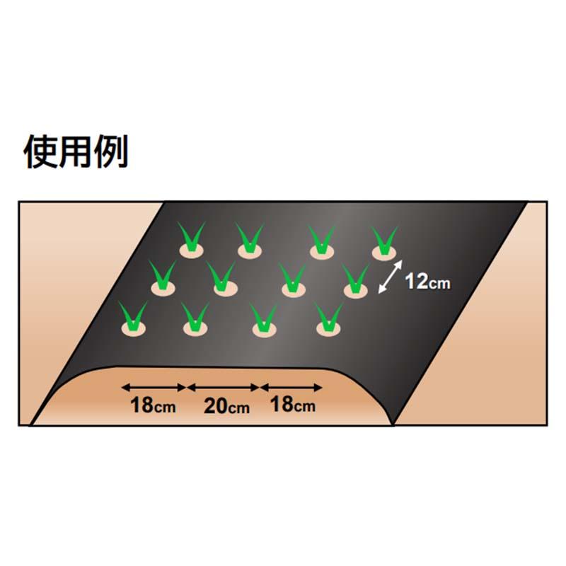オニオンマルチ 3412 0.02mm×135cm×50m 耐候性 強化フィルム 国産 穴あき 黒マルチ たまねぎ 玉ねぎマルチ ホールマルチ 米S DZ |  | 02