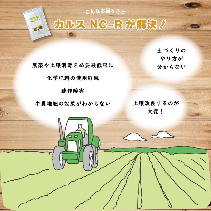 土壌改良資材 カルス NC-R 1kg リサール酵産 発根促進 肥料 微生物 有機物 堆肥 土づくり 土壌 改良 連作障害 野菜 花 植物 自然薯 畑 福S 代引不可 産直 |  | 01
