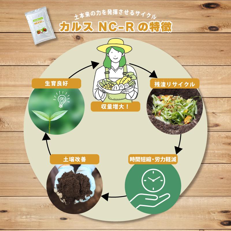 土壌改良資材 カルス NC-R 1kg リサール酵産 発根促進 肥料 微生物 有機物 堆肥 土づくり 土壌 改良 連作障害 野菜 花 植物 自然薯 畑 福S 代引不可 産直 |  | 02