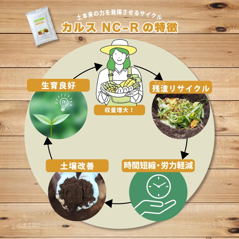 土壌改良資材 カルス NC-R 1kg リサール酵産 発根促進 肥料 微生物 有機物 堆肥 土づくり 土壌 改良 連作障害 野菜 花 植物 自然薯 畑 福S 代引不可 産直 |  | 02