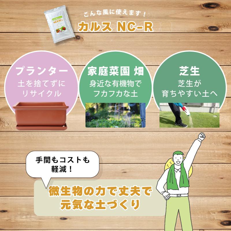 土壌改良資材 カルス NC-R 1kg リサール酵産 発根促進 肥料 微生物 有機物 堆肥 土づくり 土壌 改良 連作障害 野菜 花 植物 自然薯 畑 福S 代引不可 産直 |  | 03