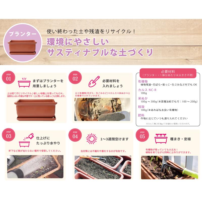 土壌改良資材 カルス NC-R 1kg リサール酵産 発根促進 肥料 微生物 有機物 堆肥 土づくり 土壌 改良 連作障害 野菜 花 植物 自然薯 畑 福S 代引不可 産直 |  | 04