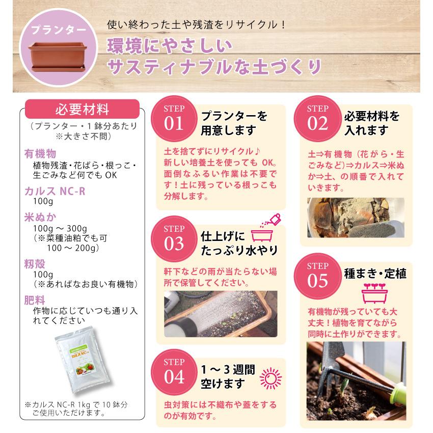 土壌改良資材 カルス NC-R 1kg リサール酵産 発根促進 肥料 微生物 有機物 堆肥 土づくり 土壌 改良 連作障害 野菜 花 植物 自然薯 畑 福S 代引不可 産直 |  | 04
