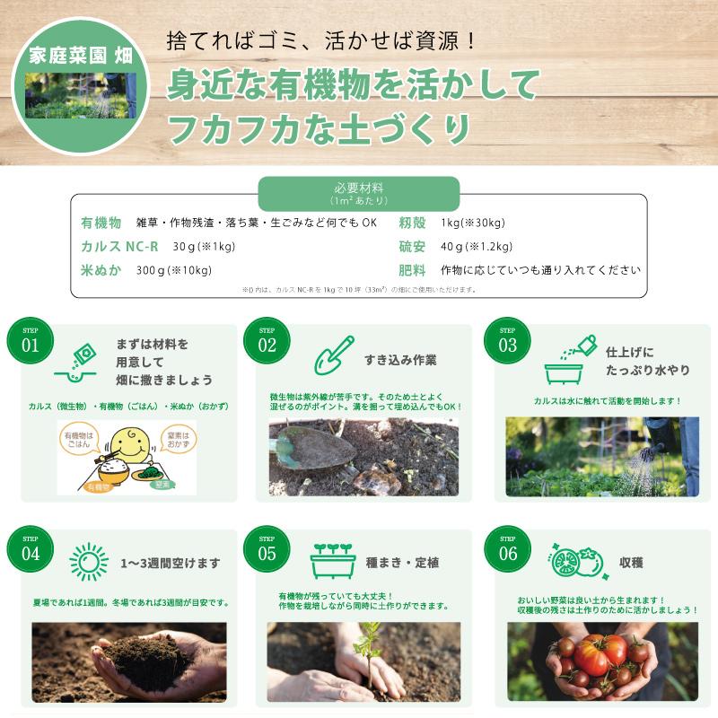 土壌改良資材 カルス NC-R 1kg リサール酵産 発根促進 肥料 微生物 有機物 堆肥 土づくり 土壌 改良 連作障害 野菜 花 植物 自然薯 畑 福S 代引不可 産直 |  | 05