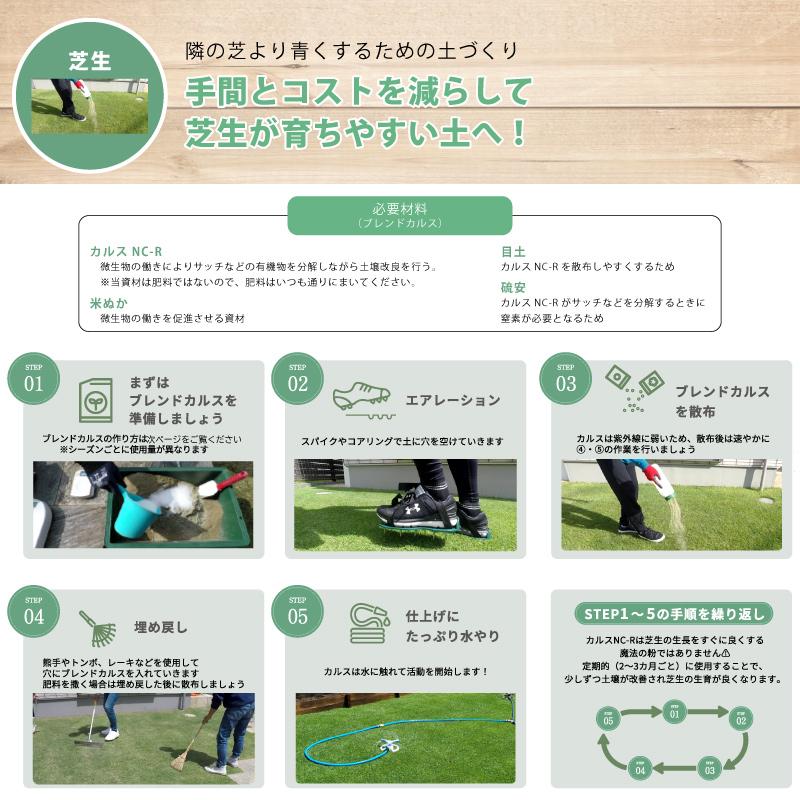 土壌改良資材 カルス NC-R 1kg リサール酵産 発根促進 肥料 微生物 有機物 堆肥 土づくり 土壌 改良 連作障害 野菜 花 植物 自然薯 畑 福S 代引不可 産直 |  | 06